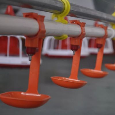 カップ0.031KGチキンバードウズラ給餌付きHXニップルドリンカー