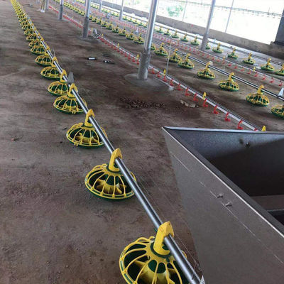OEM/ODM 鶏飼料ライン Galavnized Stee ブロイラー給餌システム