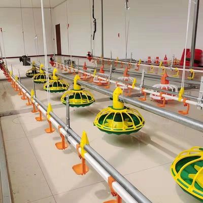 450kg/H ホッパーによって電流を通される管が付いているフル オートの鶏の供給ライン