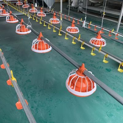 Dia.25mm ブロイラーのための自動家禽の送り装置 10 年の寿命