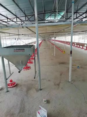 家禽のためのプラスチック家禽の農場設備 380v 0.75kw 自動給餌機