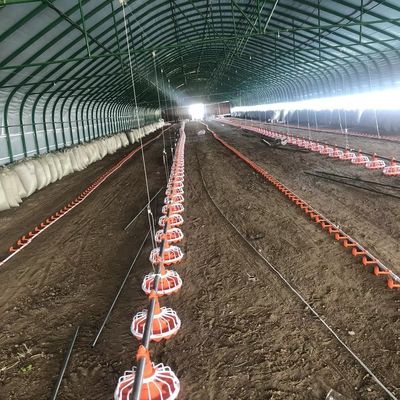 45-60 鶏養鶏場設備 3 パン/3m 養鶏場給餌システム