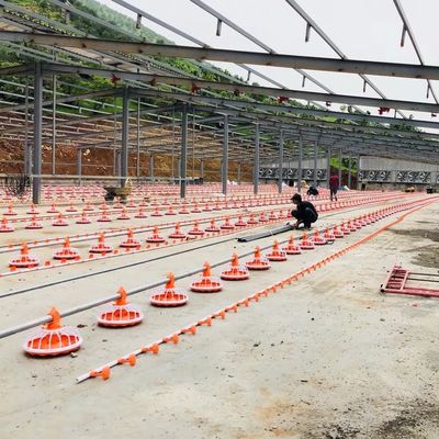 4 Pan/3m 養鶏場設備 380v 自動給餌システム