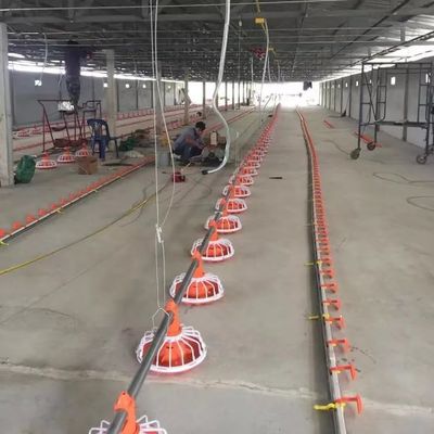 14 グリル ブロイラー養鶏設備 3 パン/3m ブロイラー養鶏設備