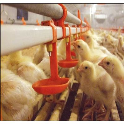 鳥のウズラの鶏の乳首の酒飲みシステム 3 か月の保証