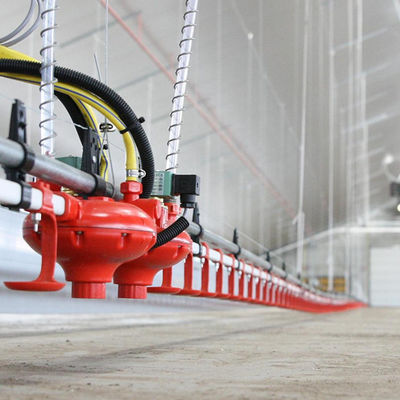 プラスチックの家禽の送り装置および酒飲みの長いサービス時間